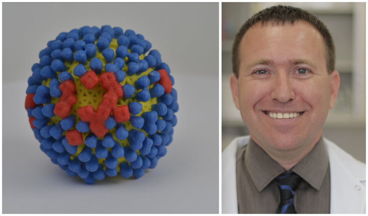 Flu Virus 3D print-NIH and Dr Hagai Levine Chairman Israeli Association Public Health Physicians
