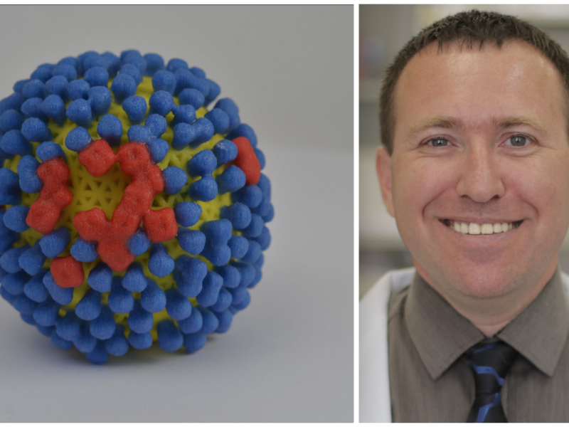 Flu Virus 3D print-NIH and Dr Hagai Levine Chairman Israeli Association Public Health Physicians