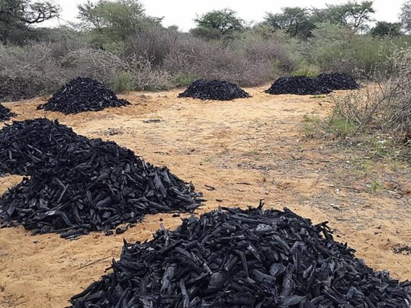 Charcoal is an essential fuel for most parts of sub-Saharan Africa.