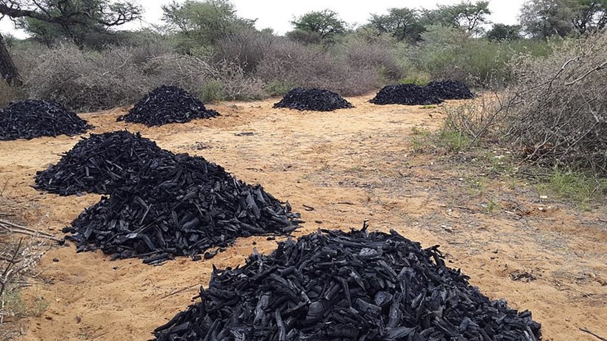 Charcoal is an essential fuel for most parts of sub-Saharan Africa.