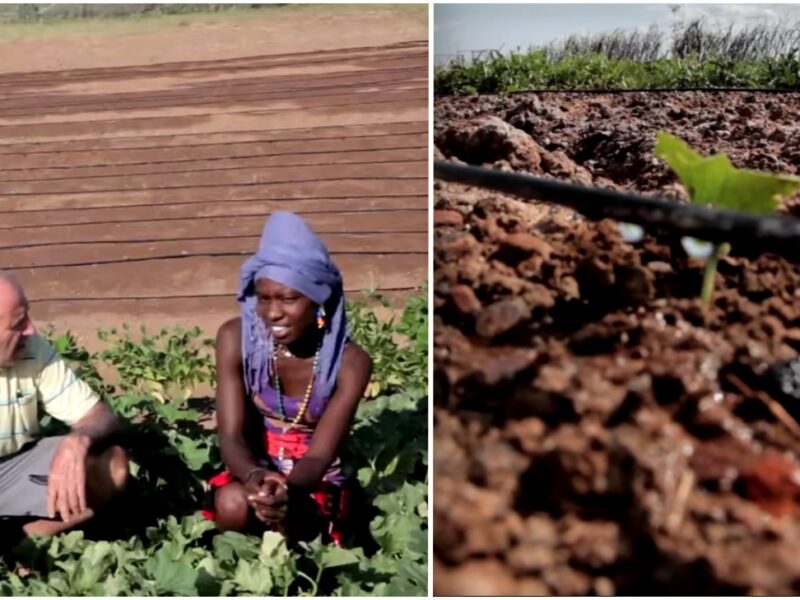 JNF and the Arava Agricultural Training Center in the Turkana region of Kenya, providing water and agricultural expertise and training. Source: JNF YouTube screenshots.