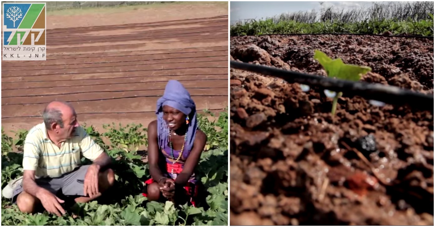 JNF and the Arava Agricultural Training Center in the Turkana region of Kenya, providing water and agricultural expertise and training. Source: JNF YouTube screenshots.