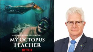 'My Octopus Teacher', SeaChangeProject, commons; Premier Alan Winde, WC Gov.