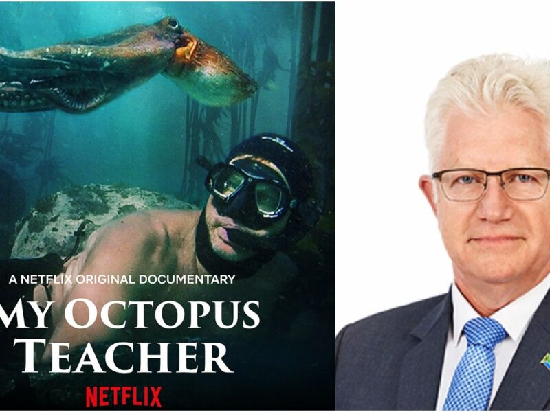 'My Octopus Teacher', SeaChangeProject, commons; Premier Alan Winde, WC Gov.