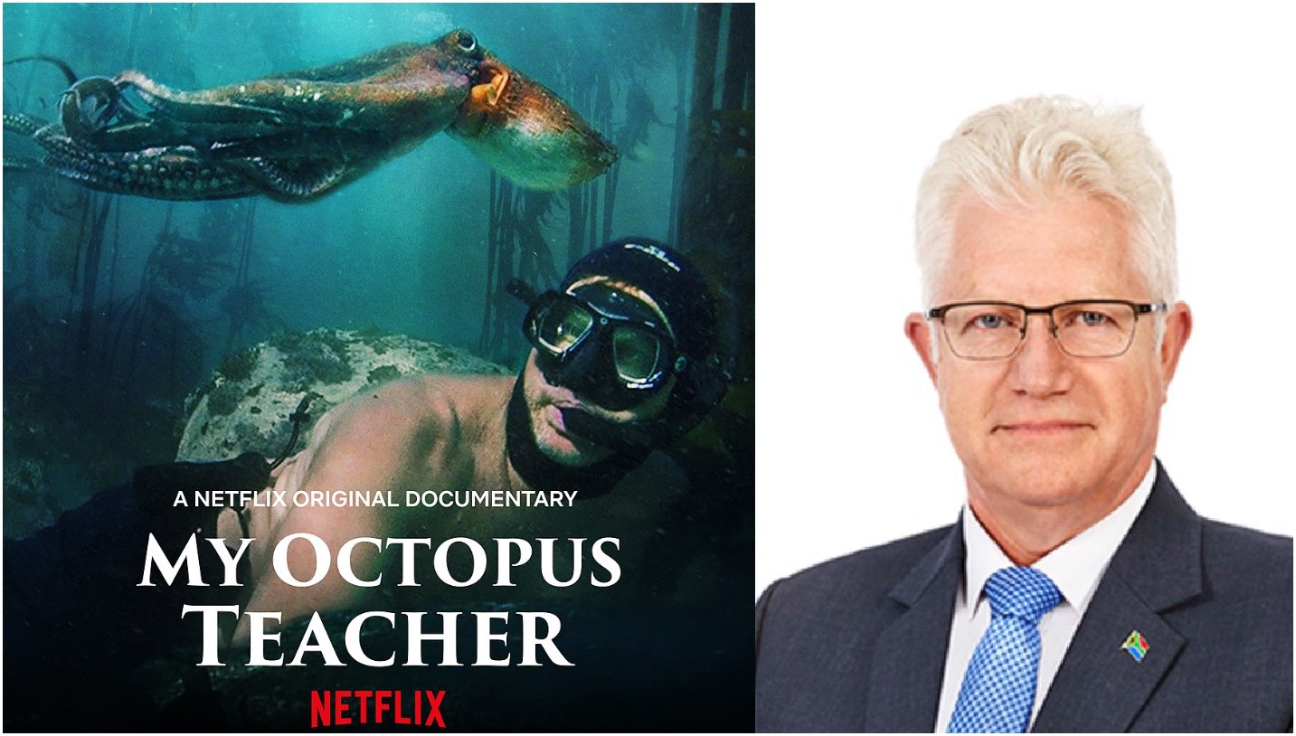 'My Octopus Teacher', SeaChangeProject, commons; Premier Alan Winde, WC Gov.