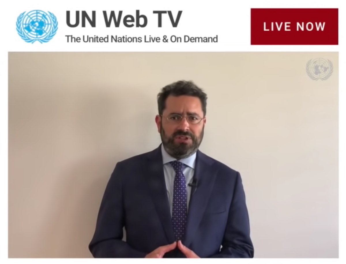 UN Watch executive director Hillel Neuer speaks at UNHRC 30th Special Session, screenshot.