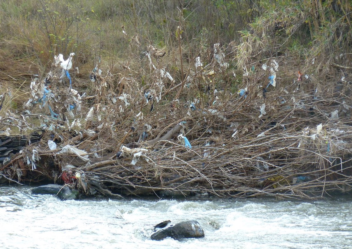 Plastic bags deposited on broken tree branches on the banks of Crocodile River. By JMK, commons.