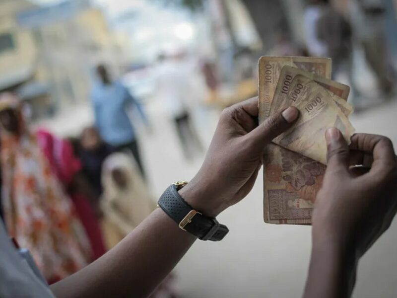 A person counts Somali shilling notes. AMISOM Public Information/Flickr