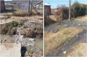 Blocked sewers overflowing in Ward 3, Manyatseng Mantsopa. Source: DA.