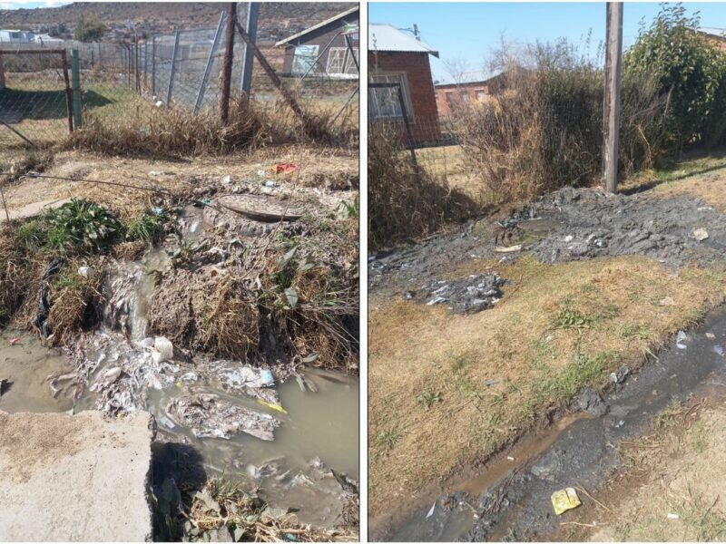 Blocked sewers overflowing in Ward 3, Manyatseng Mantsopa. Source: DA.
