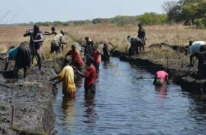 The Barotse Sub-Basin in Zambia is part of the country’s climate resilience plan. Wikimedia Commons/Flickr