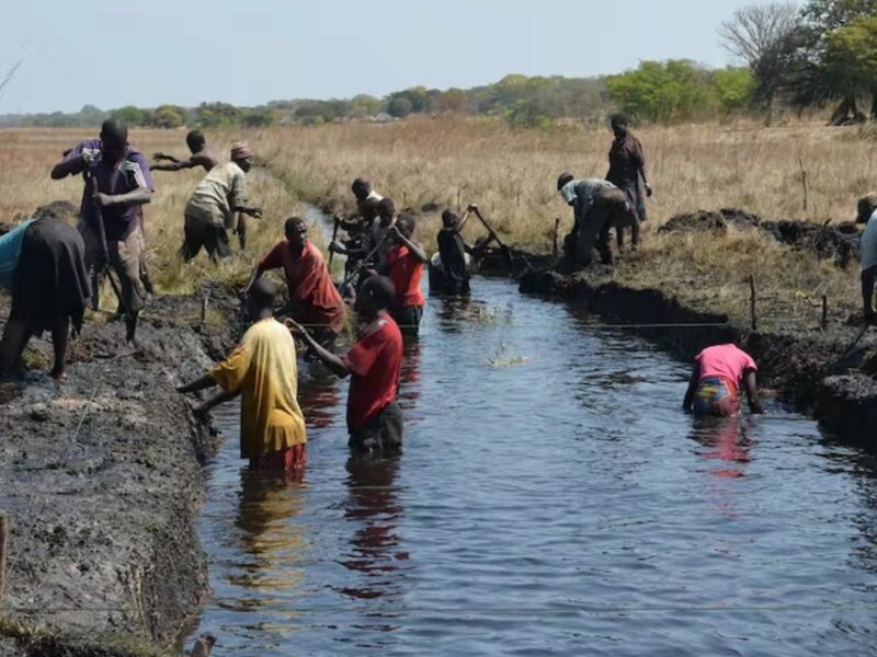 The Barotse Sub-Basin in Zambia is part of the country’s climate resilience plan. Wikimedia Commons/Flickr